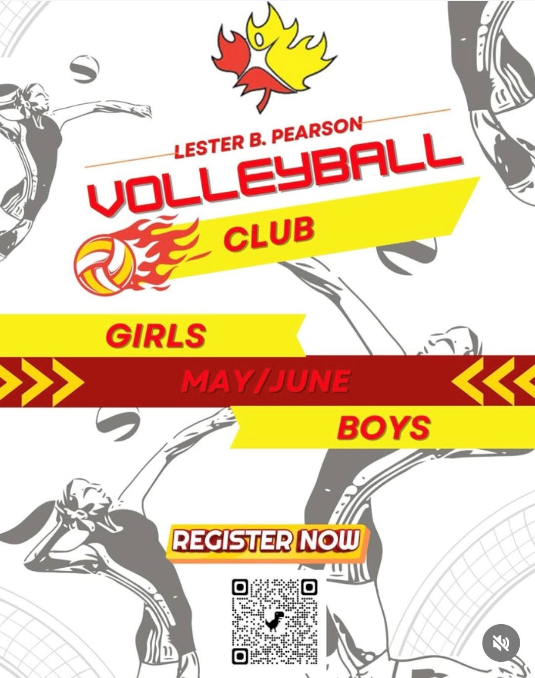 Volleyball Club